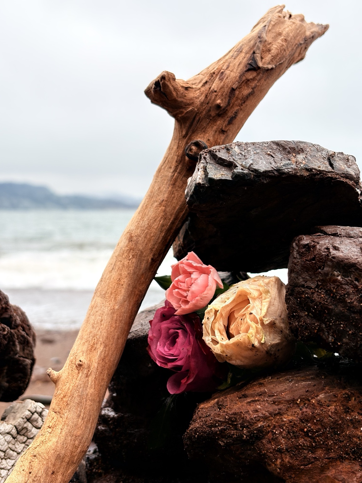Tidal Offering fine-art photograph by Cooper Zembo