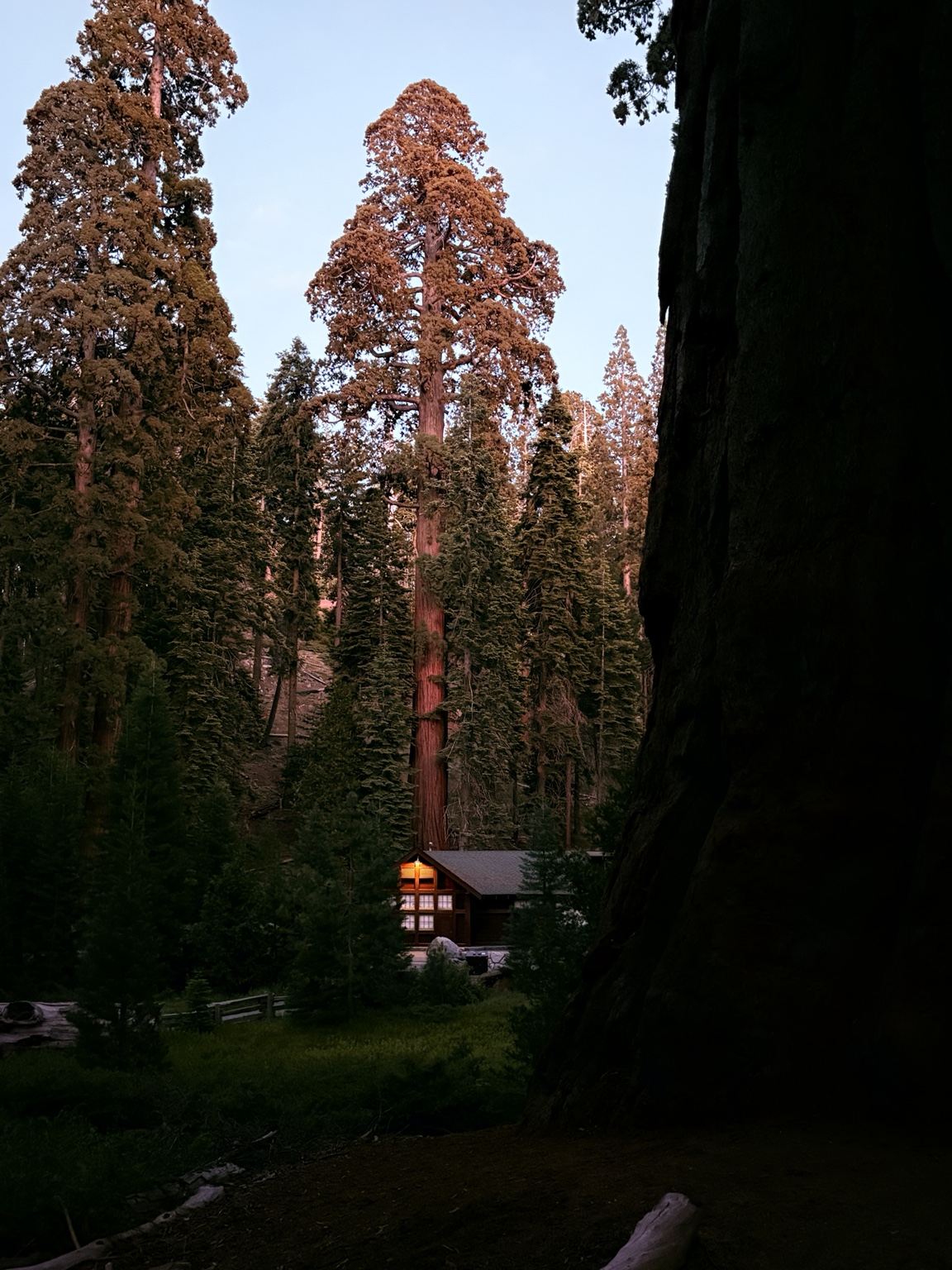 Cabin Among Giants fine-art photograph by Cooper Zembo
