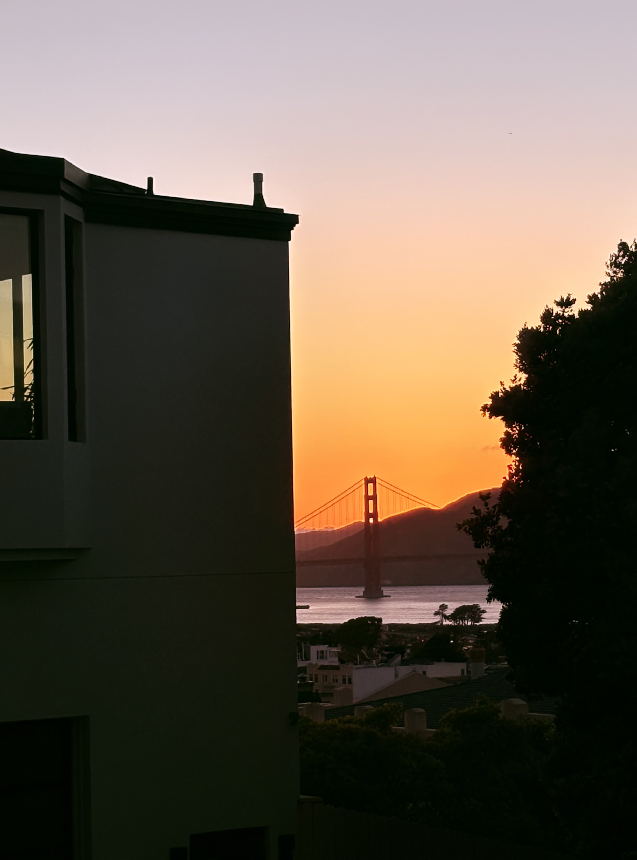 Framed in Gold fine-art photograph by Cooper Zembo