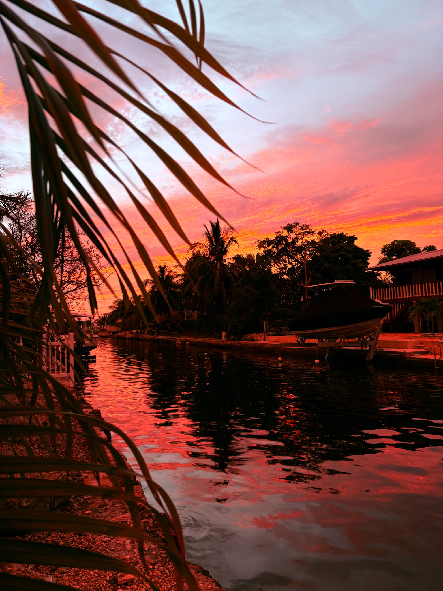 Palmfire Harbor fine-art photograph by Cooper Zembo